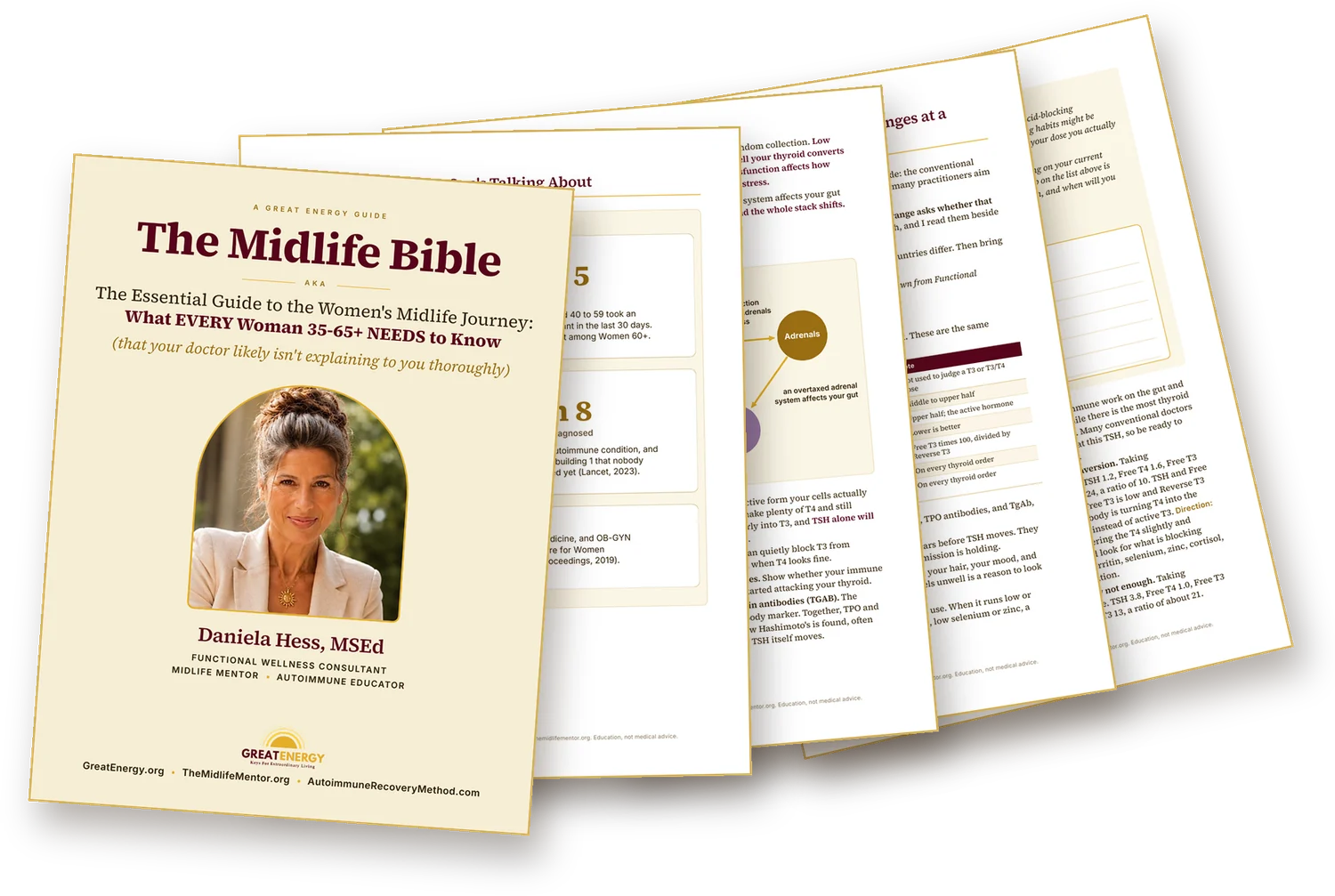 The Midlife Bible, a PDF